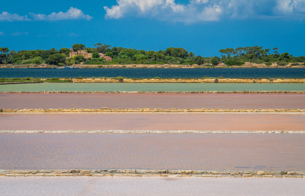 Cosa vedere alle saline di Trapani e Paceco mulino Maria stella, il percorso del salinaio, museo del sale, birdwatching trapani, le saline rosa